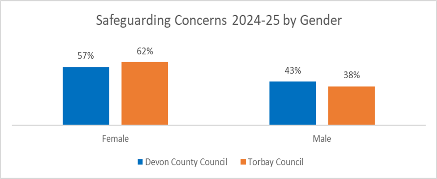 A chart to show the gender of individuals involved in concerns