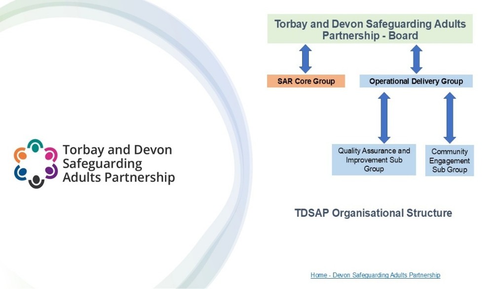 Image of the TDSAP Organisational Structure